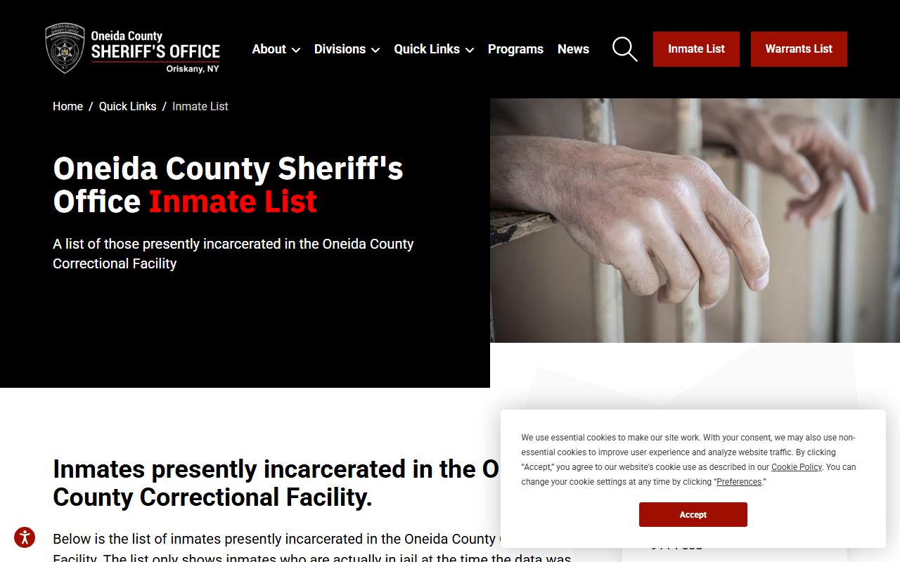 Oneida County inmate population jail roster rows and charges